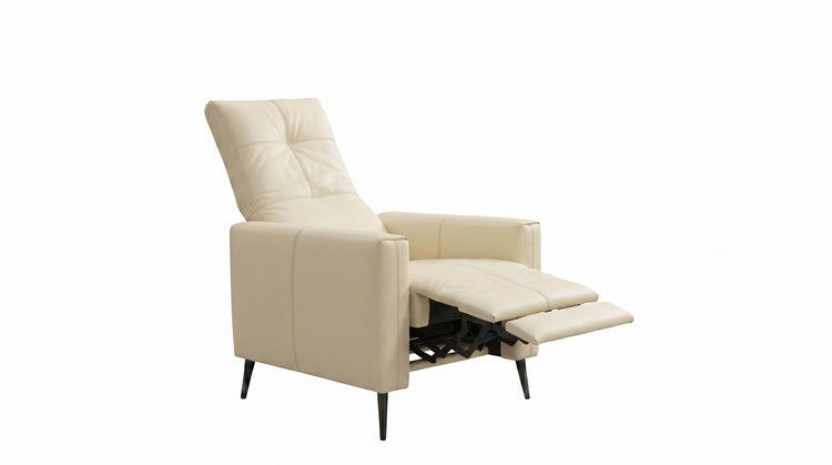 Leder Sessel ERBA