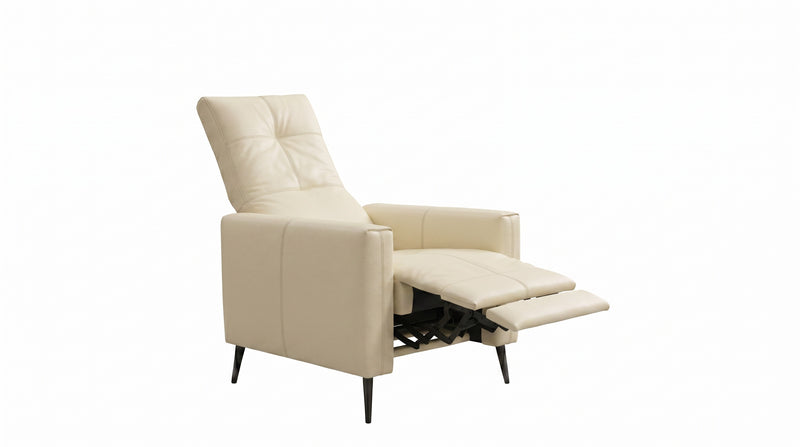 Leder Sessel ERBA