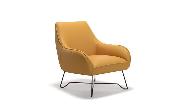 Leder Sessel ROM
